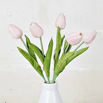 Light Pink Tulips